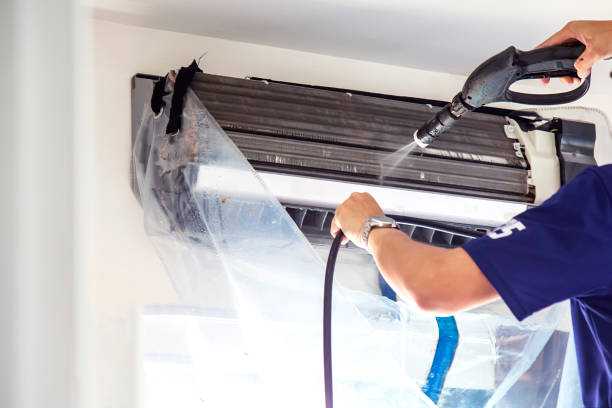Best Air Duct Sanitizing Services  in Odessa, MO